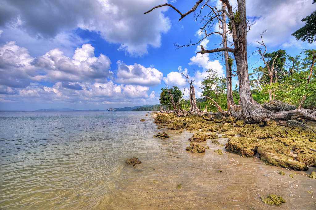 Andaman Tour