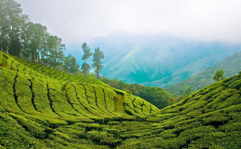 Kerala Tour
