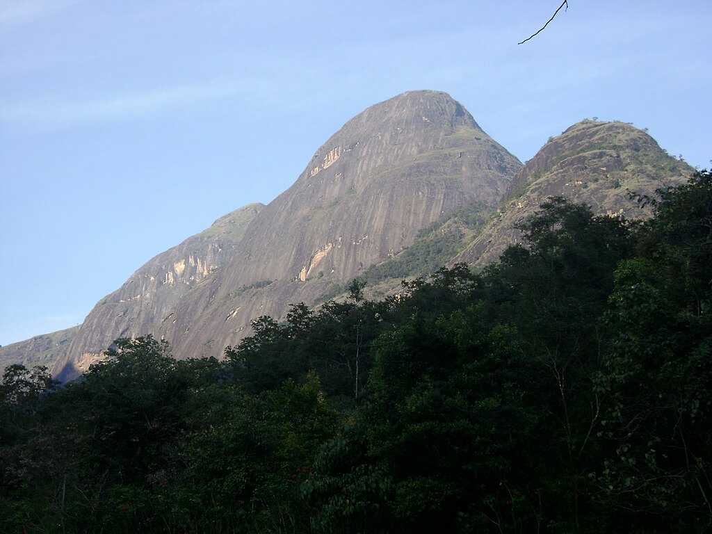 Anamalai Tiger Reserve, Pollachi Tamil Nadu | Safari, Timings | Holidify