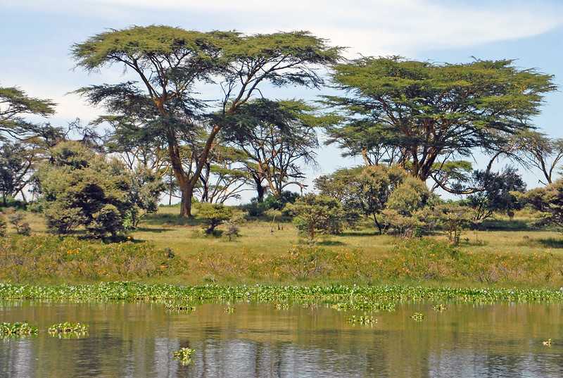 Place Image