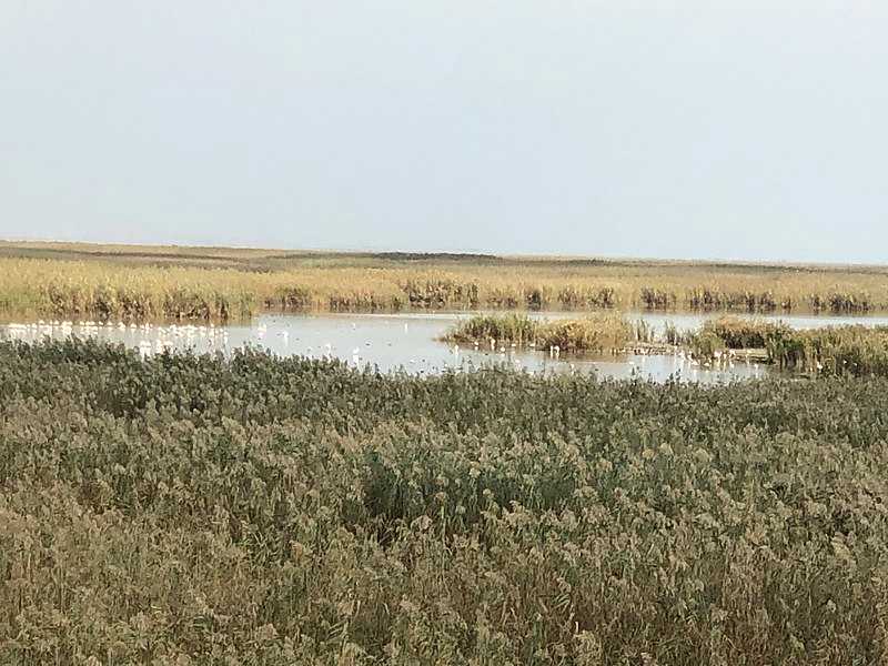 9 National Parks in Azerbaijan - Holidify