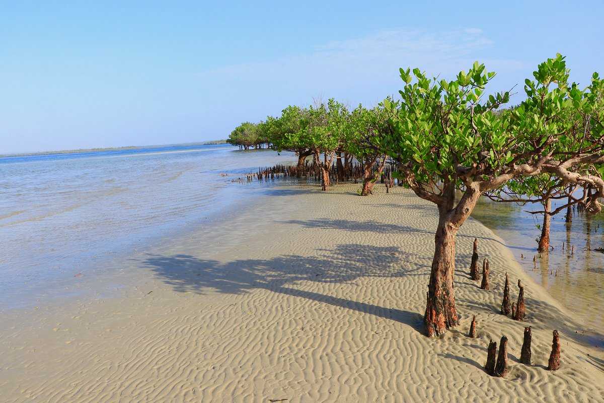 Funzi Island, Mombasa (2024) Images, Timings Holidify