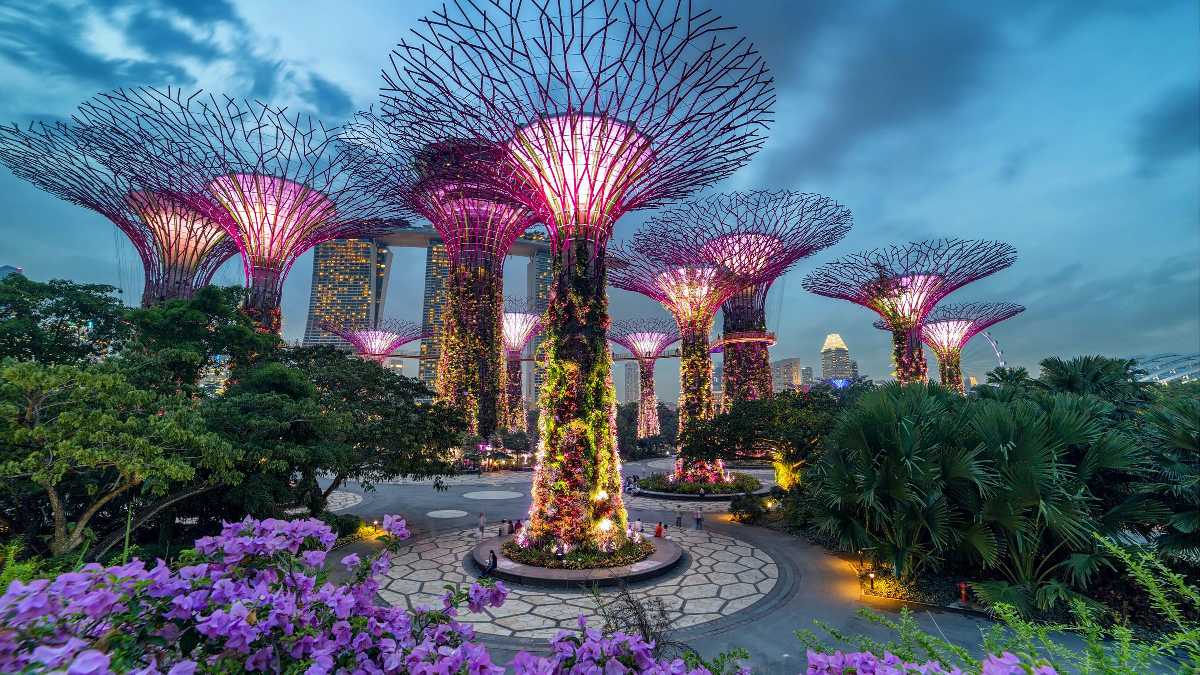 4 Days Singapore Highlights with Sentosa and Gardens by the Bay travel package