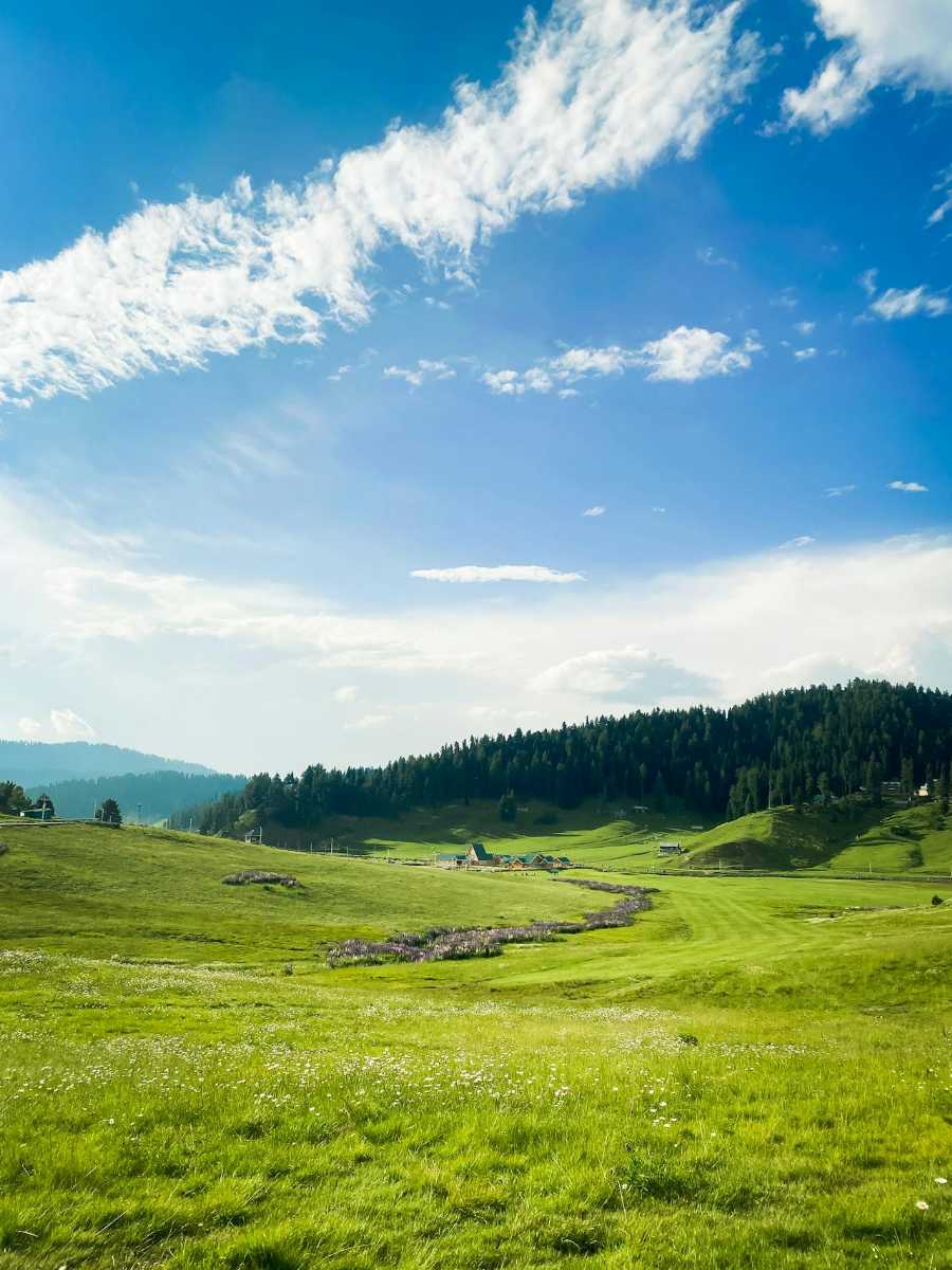 Place Image