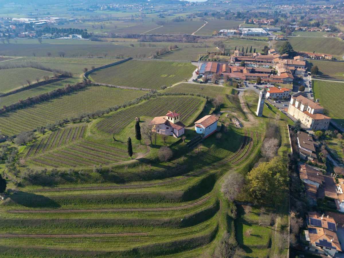 Vineyards in Lombardy