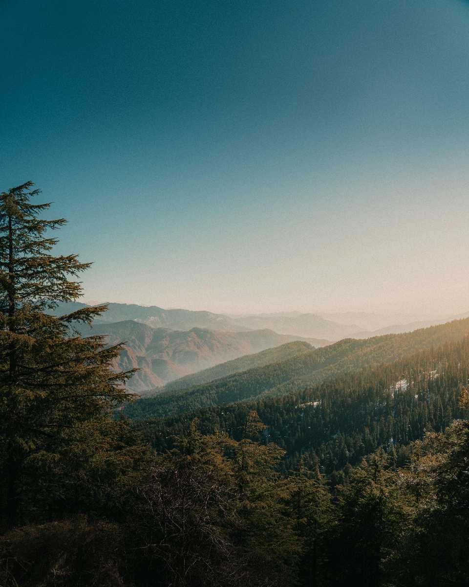 Place Image