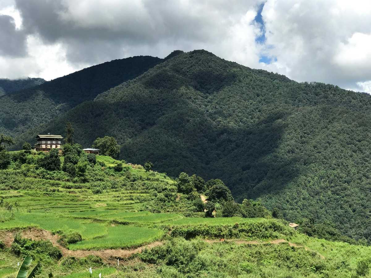 Place Image