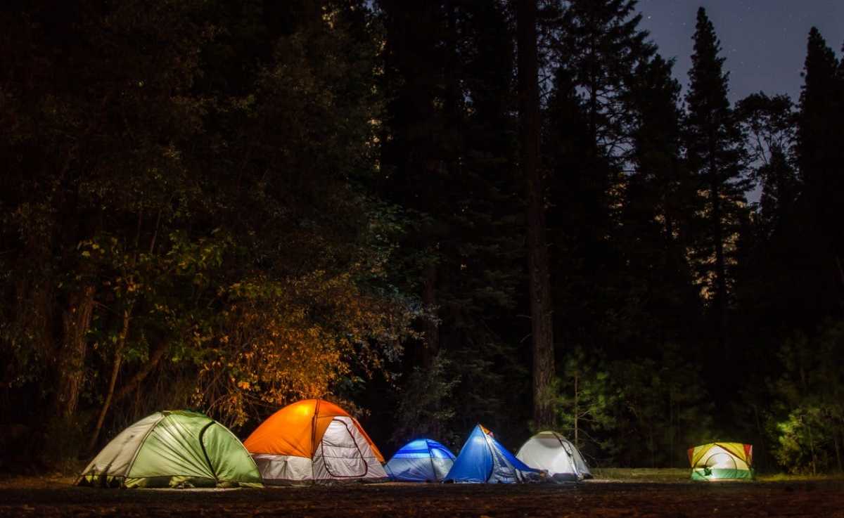 tents in front of trees at night