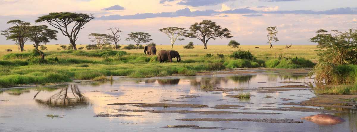 Serengeti National Park Tourism 2026 Tanzania Top Places Travel 