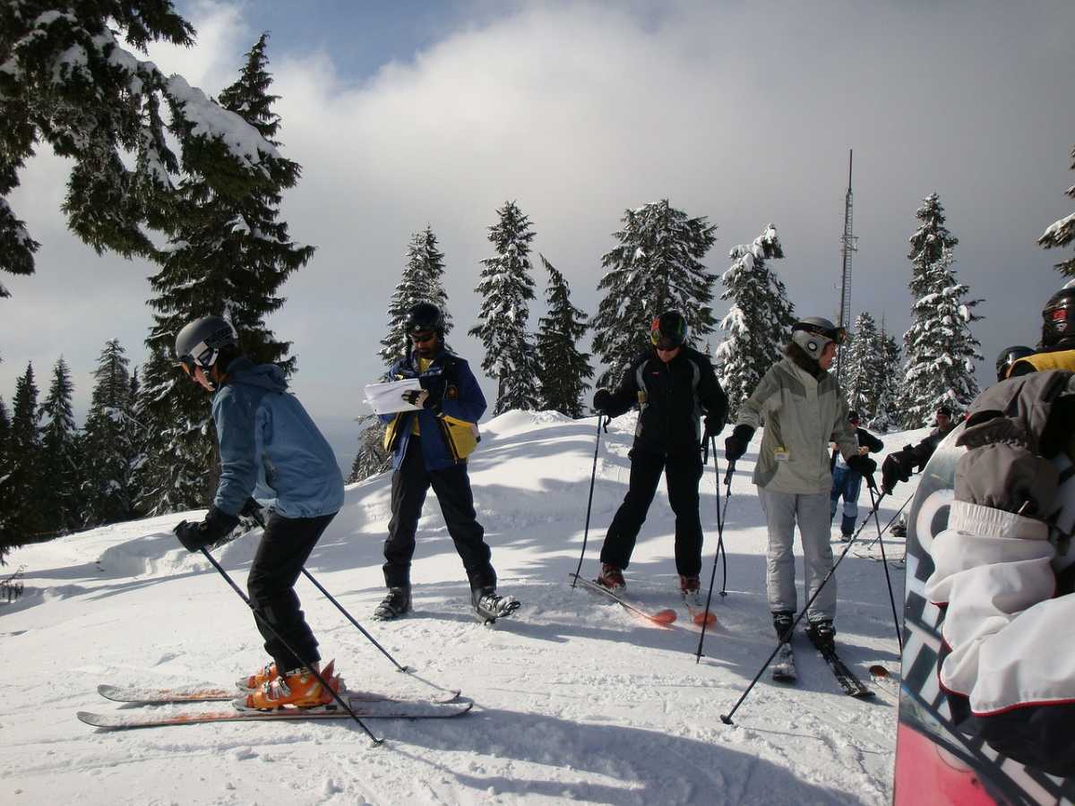 people skiing in snow